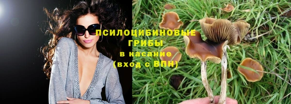 соль курить ск Алексеевка