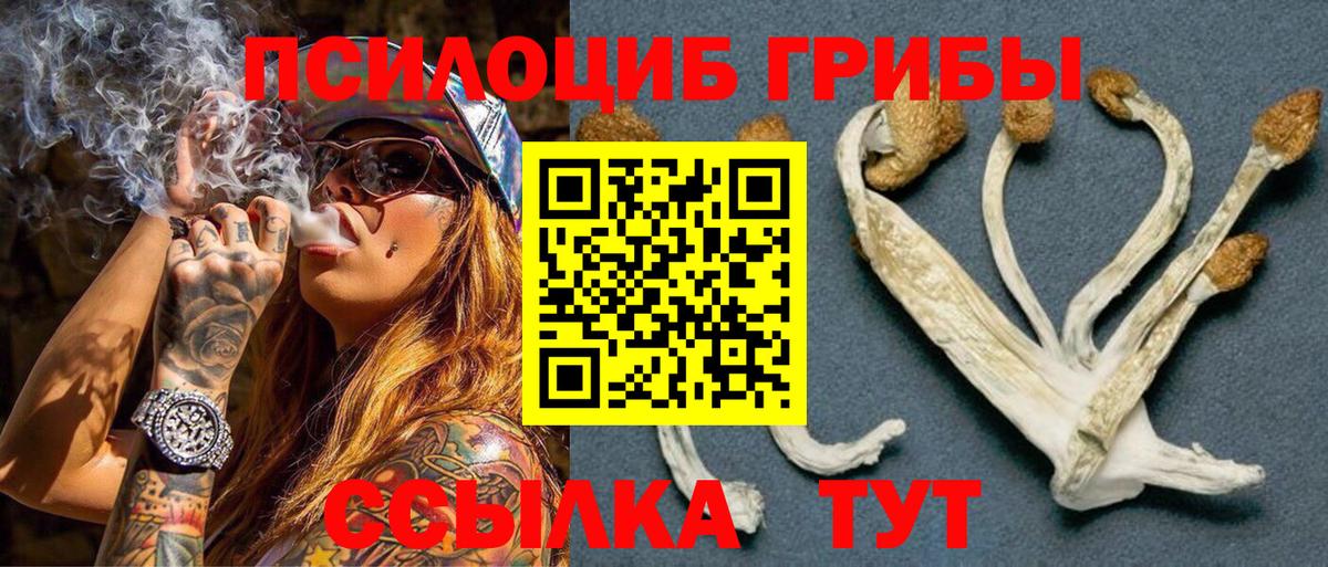 Йошкар-Ола  Псилоцибиновые грибы ЛСД  Вход с VPN 