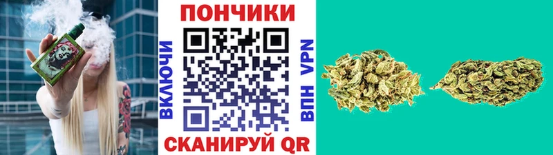 Бошки марихуана планчик  Йошкар-Ола 